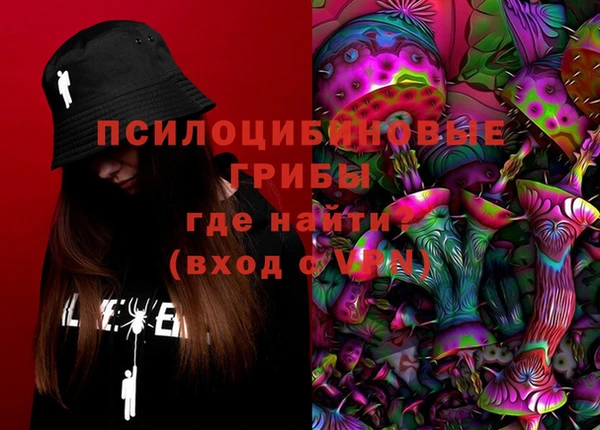 шишки Нязепетровск