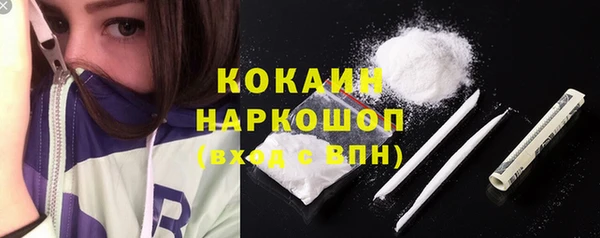 молекула духа Няндома