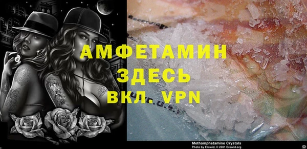 молекула духа Няндома