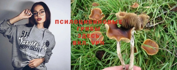 молекула духа Няндома