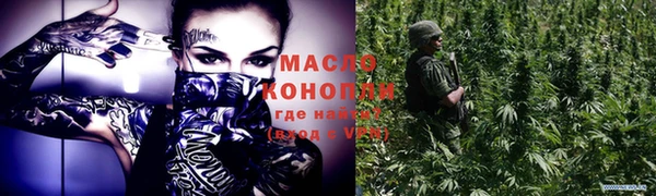 молекула духа Няндома