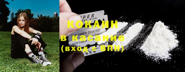 молекула духа Няндома