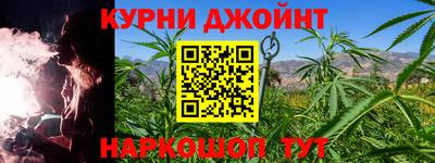 стаф Гатчина