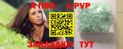 стаф Гатчина