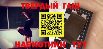 стаф Гатчина