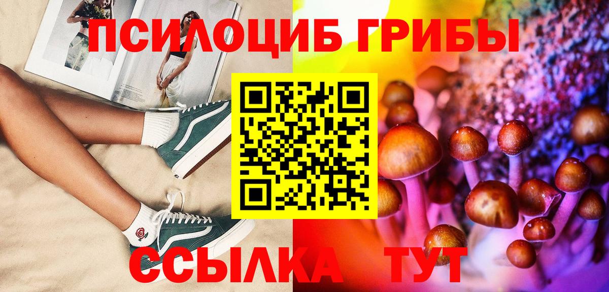 Псилоцибиновые грибы прущие грибы  Вход с VPN  Златоуст 