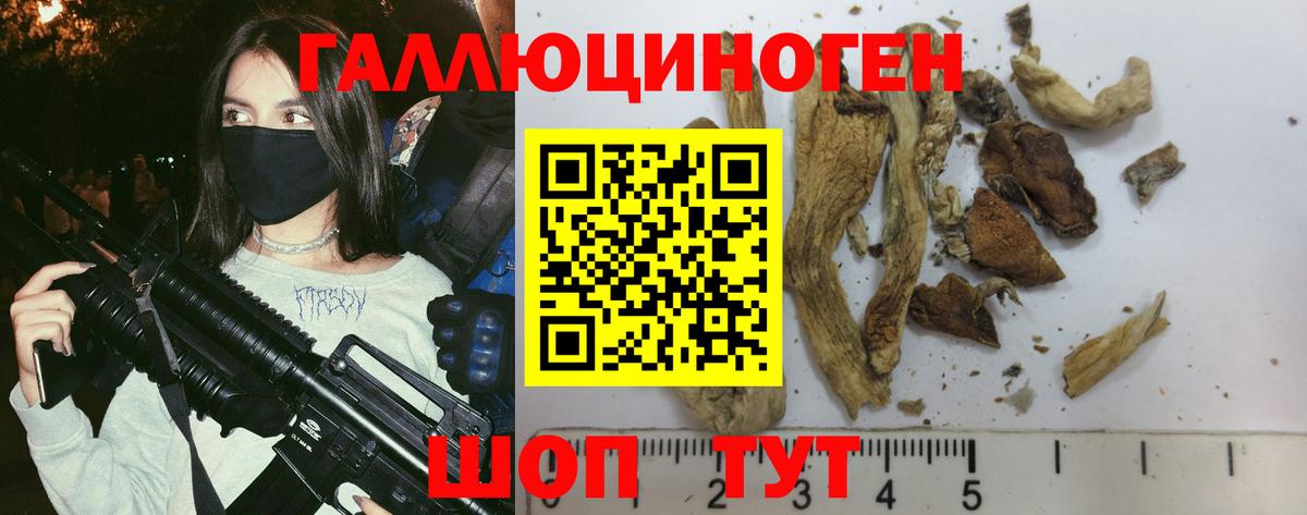 Псилоцибиновые грибы Magic Shrooms  где продают наркотики  Златоуст 